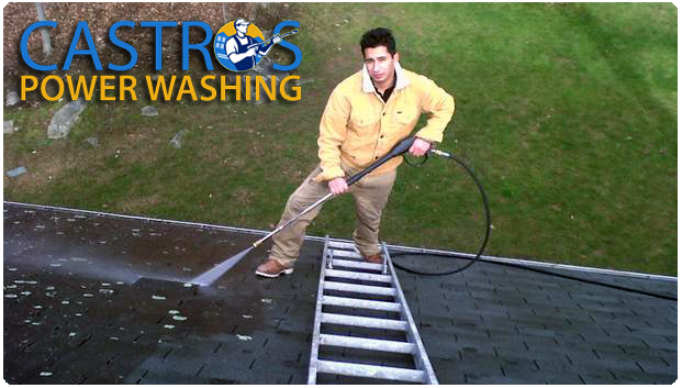 Roof, Deck, Siding Cleaning