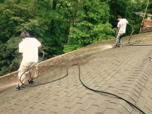 Castros-roof-cleaning-ct-12 (1)             