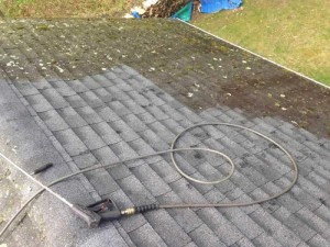 Castros-roof-cleaning-ct-17             