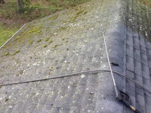 Castros-roof-cleaning-ct-7             